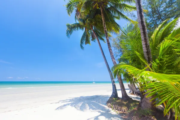 Vé máy bay Kalibo San Vicente