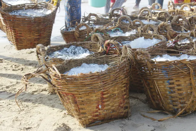 Виллы в г. Фантхиет