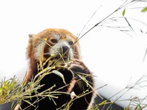 Huaihua Wildlife Park