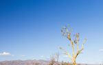 Death Valley National Park