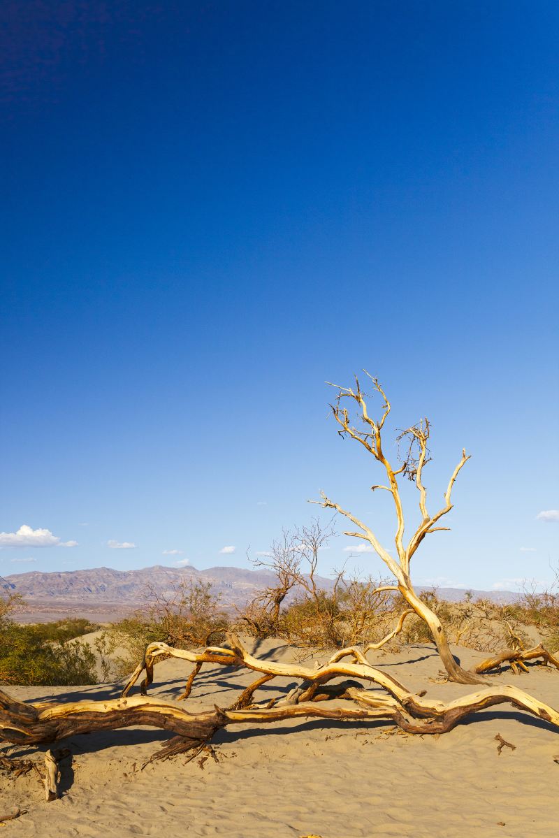 Death Valley National Park