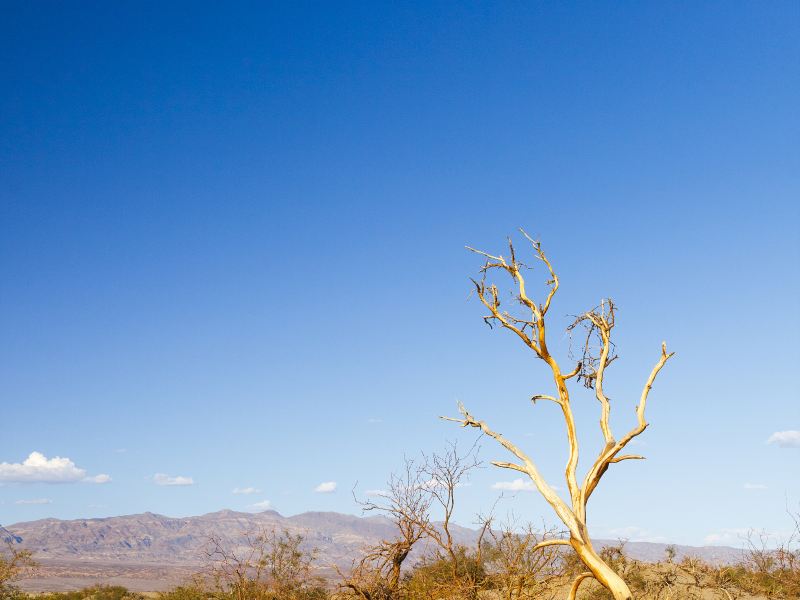 Death Valley National Park