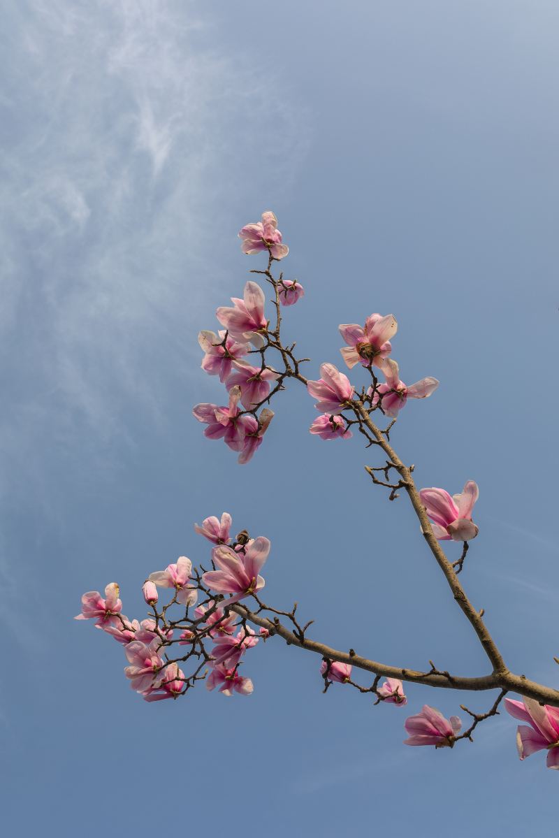 平菁街42巷