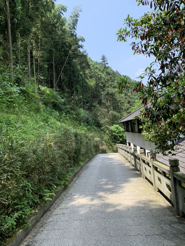 天子地