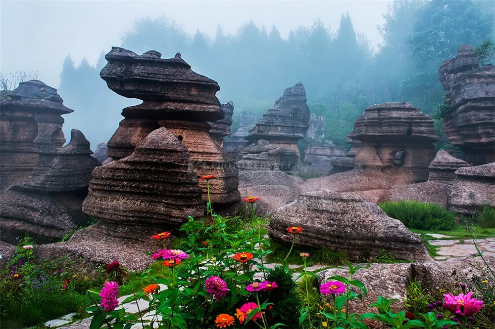 2_Red Stone Forest National Geological Park