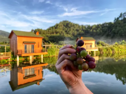 花花休闲农场(集成店)
