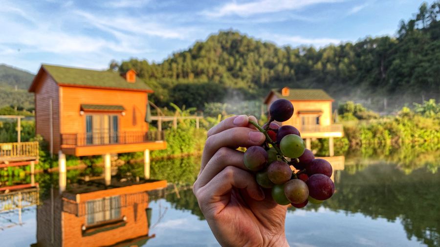 花花休闲农场(集成店)