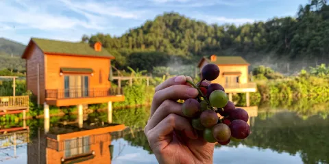 花花休閑農場(整合店)