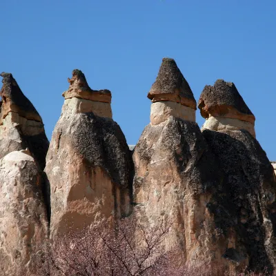 ブルサの温泉 ホテル