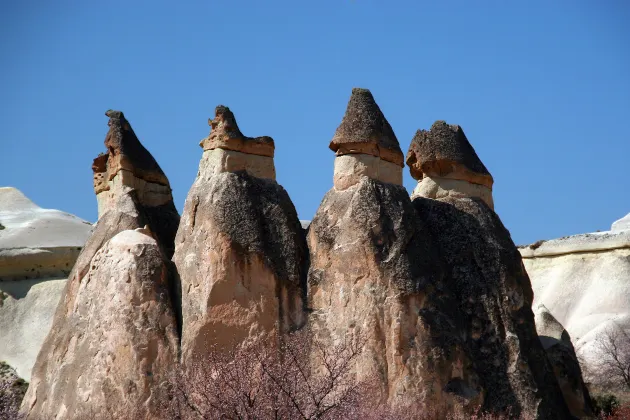 ウシャクの4つ星ホテル