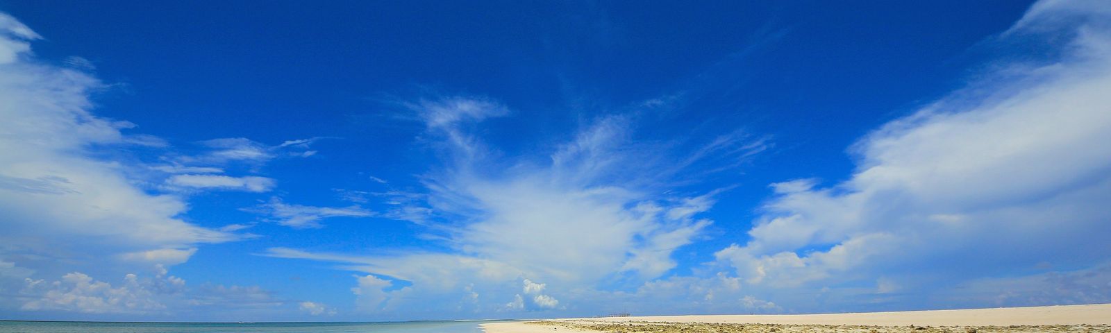 travel