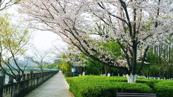 浣江公園