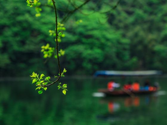 蓮花湖