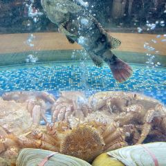 Gaoxingyiguo·shiban Fish Seafood Hot Pot (zhongxing) ảnh của người dùng