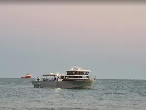 Absolute Ocean Charters