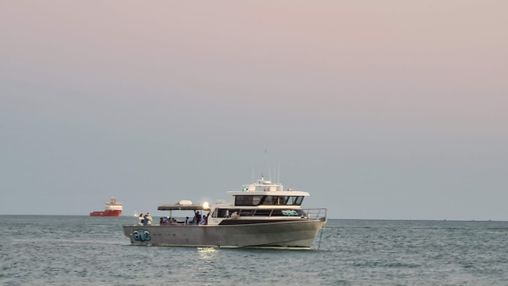 Absolute Ocean Charters