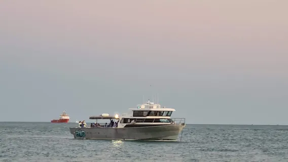 Absolute Ocean Charters