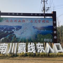 Dahongdenglong (jiangdong) User Photo