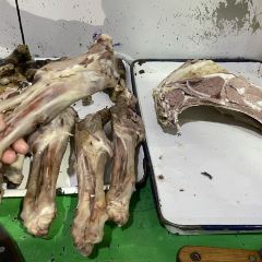 马成龙烤羊肉 User Photo