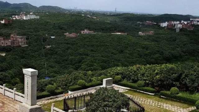 Litchi Tourist Area of Genzi Town