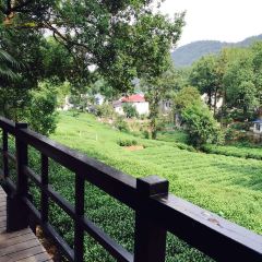 Tian Long User Photo
