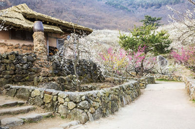 Gwangyang Maehwa Village