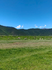 香格里拉大草原