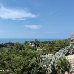 海南棋子湾开元度假村·祺咖啡 User Photo