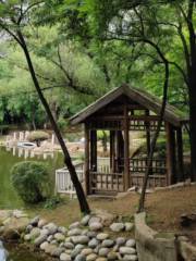 Baoxiao Garden