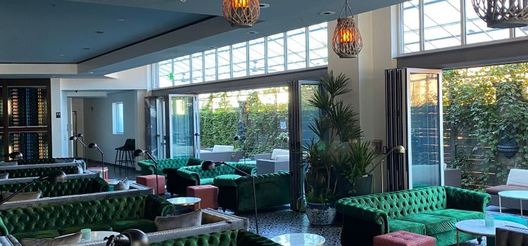 Botanical Lounge