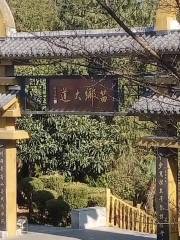 苗鄉大道