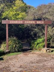 Darwins walk