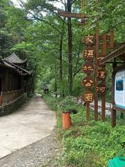 후베이 우펑 바이시허/호북 우봉백계하 국립습지공원