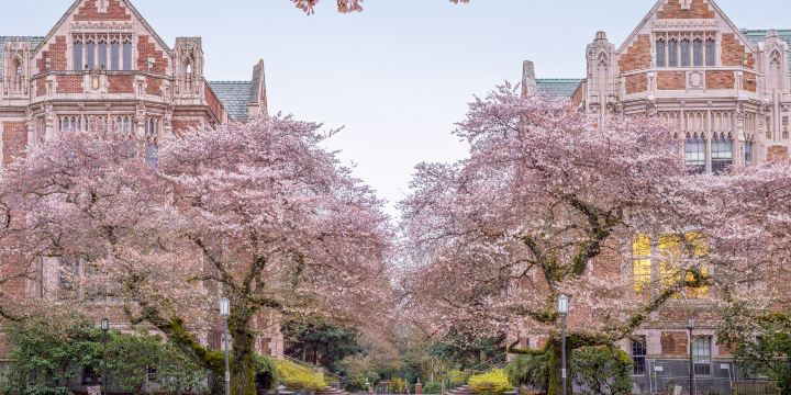University of Washington