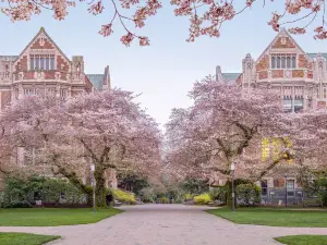 University of Washington