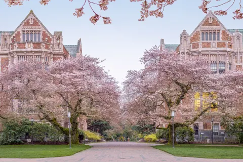 華盛頓大學