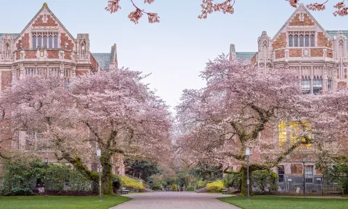 University of Washington
