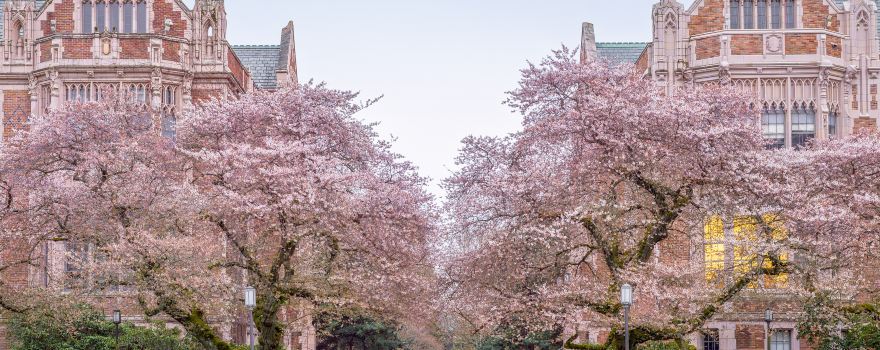 Université de Washington
