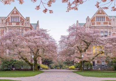 University of Washington