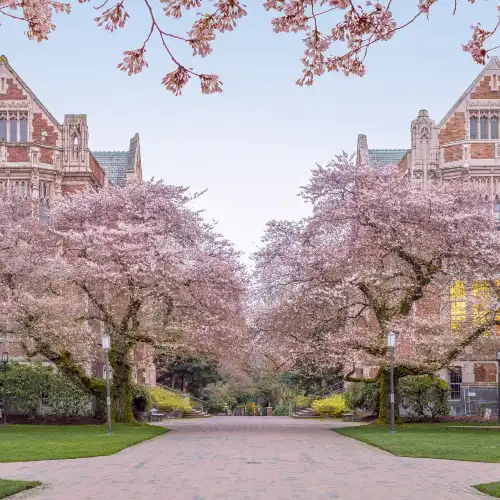 University of Washington
