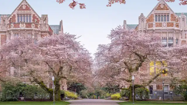 Hotels near University of Washington