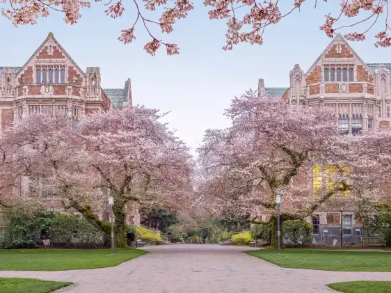 Hôtels à proximité de : Université de Washington