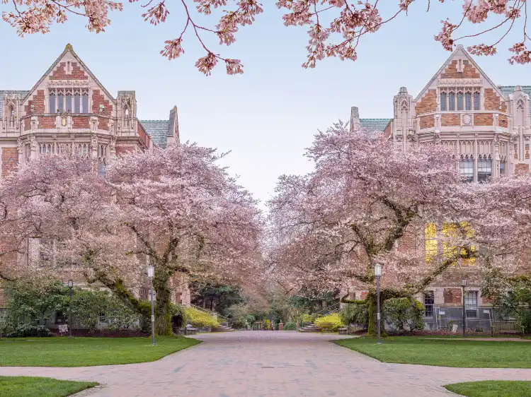 Hotels near University of Washington