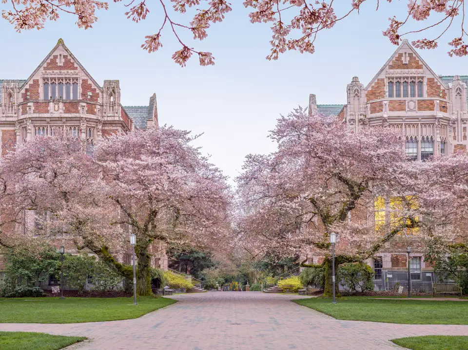 1_University of Washington