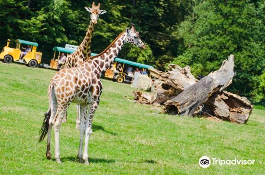 Ostrava Zoo