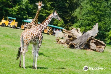 オストラヴァ動物園
