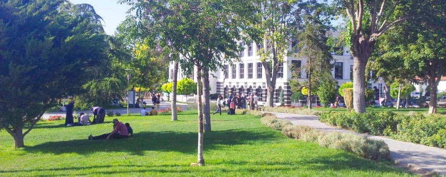 Culture Park