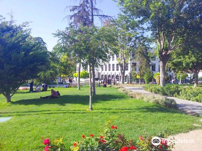 Culture Park
