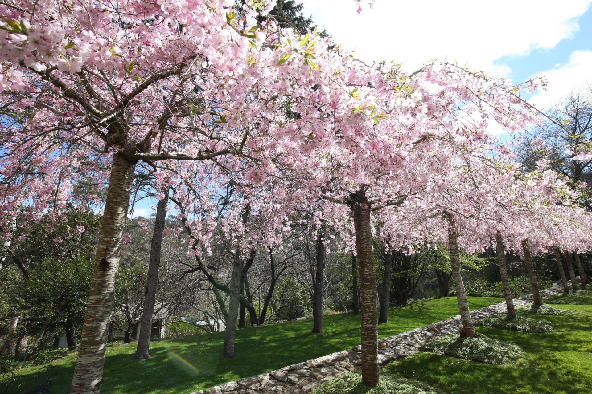 Leura Gardens Festival | Leura