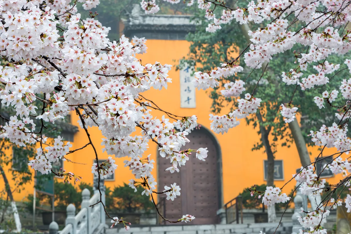 5_Jiming Temple